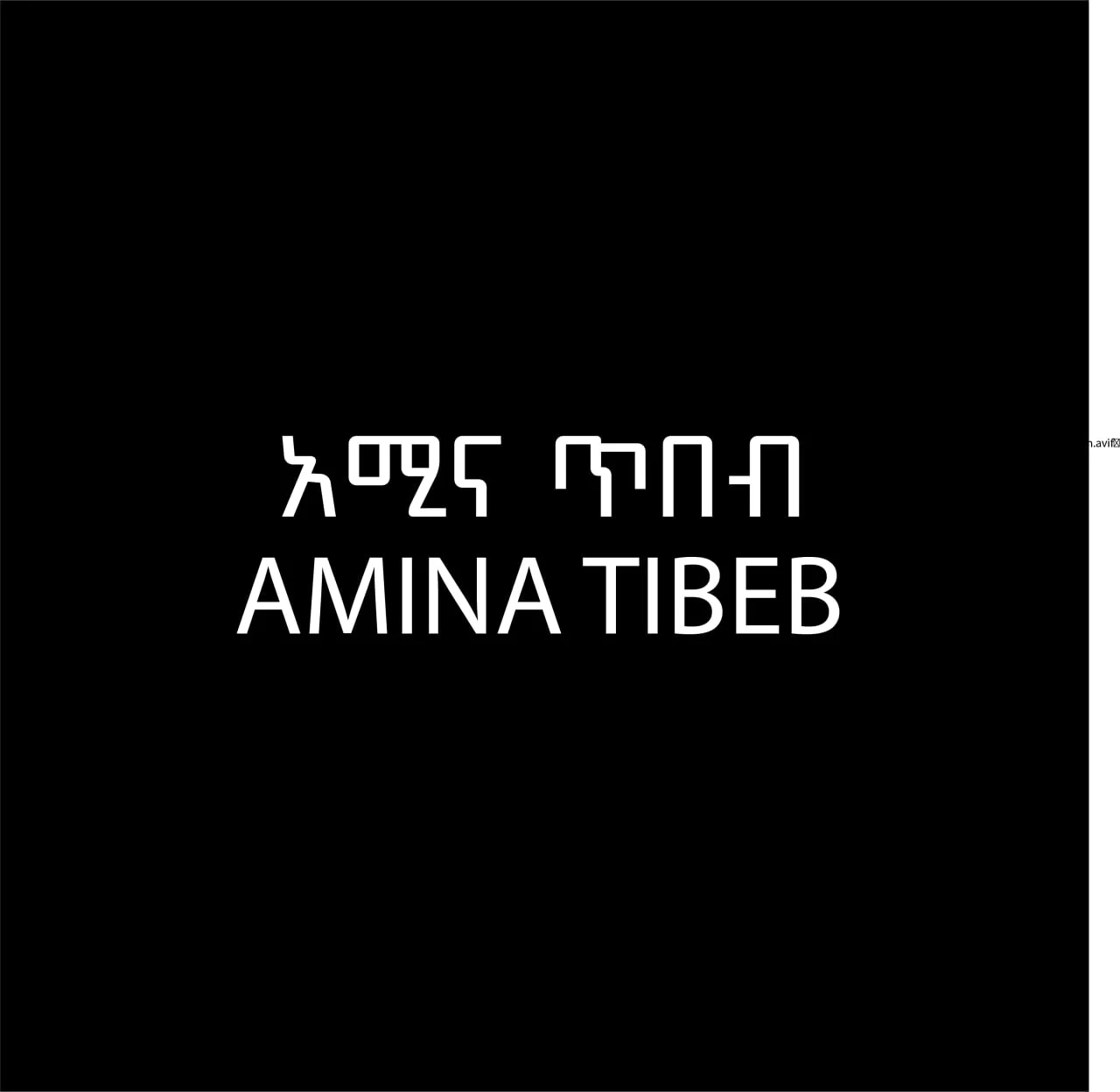 Amina Borena