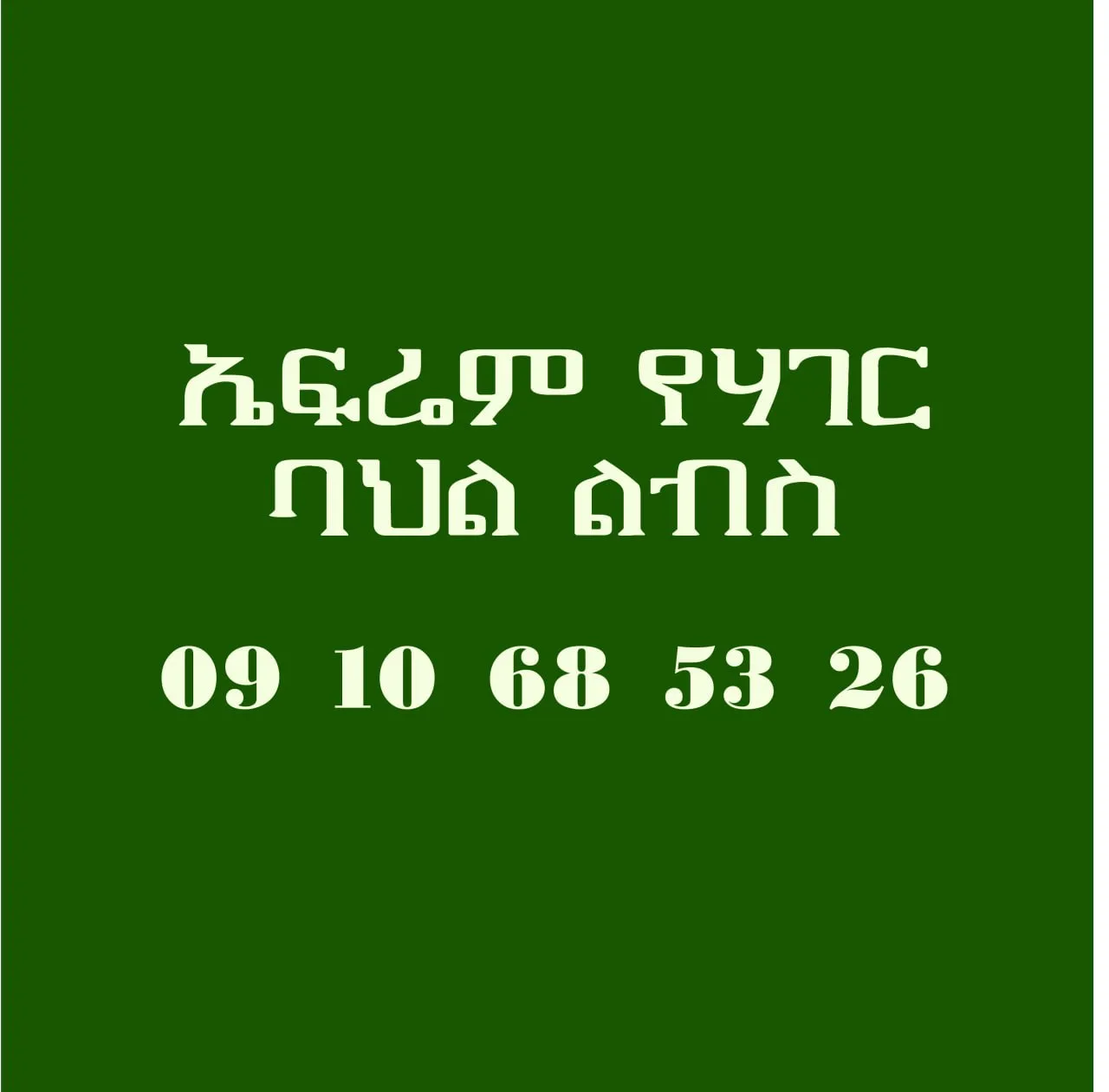 Ephrem Yehager Bahil Libs Meshecha