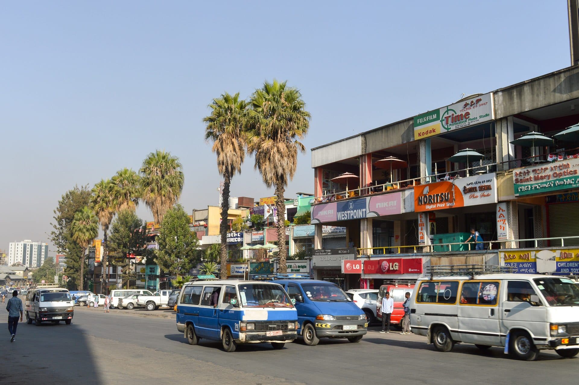 A busy street in Addis Ababa lined with shops and palm trees, with blue and white minibus taxis