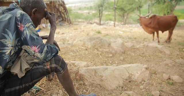 Drought leaves communities and livestock struggling in Aba’la
