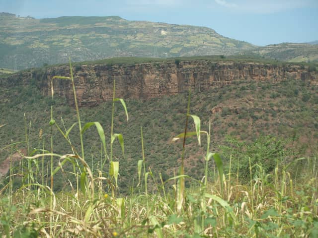 Severe drought leaves more than 96,000 facing food shortages, raises suicide risk in Janamora